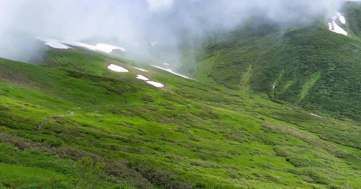 Alpine meadows on Mount Gassan, Yamagata, Japan