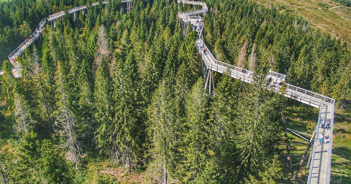 A treetop walkway in Ždiar, Slovakia